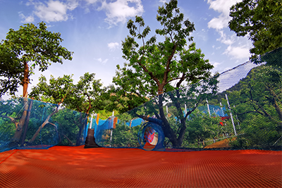 ����ϵ��