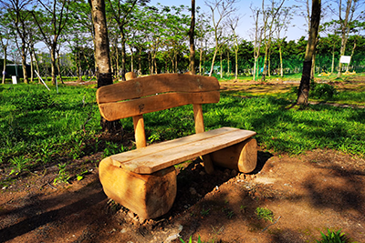 ���׮a(ch��n)Ʒ