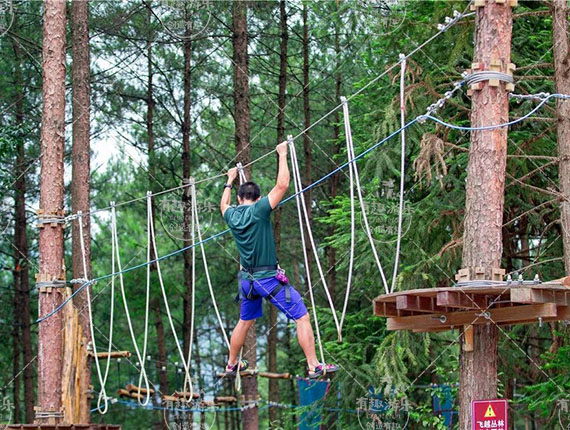 叢林探險 (3).jpg