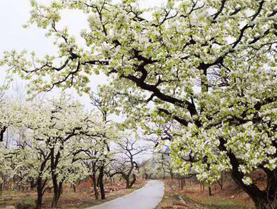 ��ķð�U����