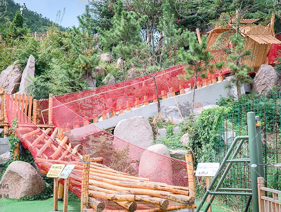 �o�������@